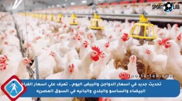 تحديث جديد في أسعار الدواجن والبيض اليوم.. تعرف على أسعار الفراخ البيضاء والساسو والبلدي والبانيه في السوق المصرية